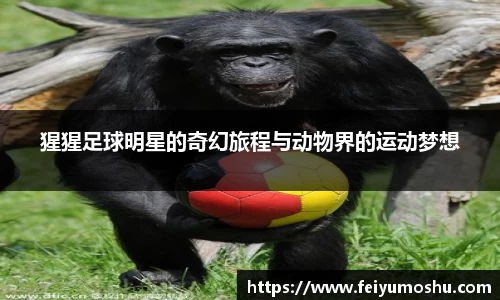 jn江南·(中国区)体育官网